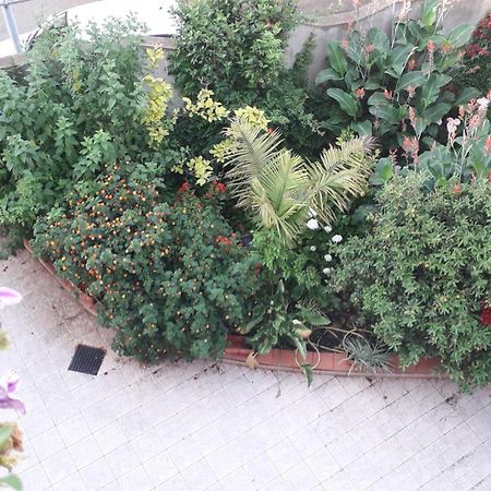 Bed And Breakfast Le Petunie Bari Sardo Εξωτερικό φωτογραφία