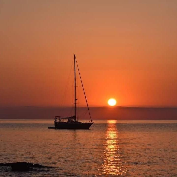 Bed And Breakfast Le Petunie Bari Sardo Εξωτερικό φωτογραφία