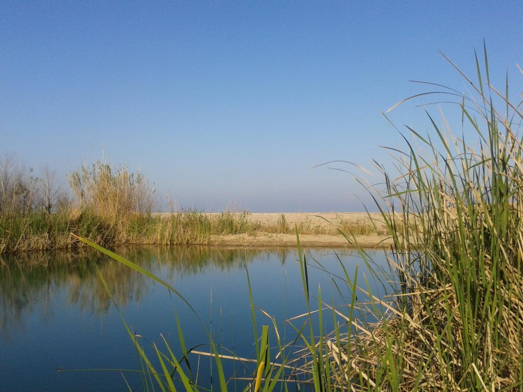 Bed And Breakfast Le Petunie Bari Sardo Εξωτερικό φωτογραφία