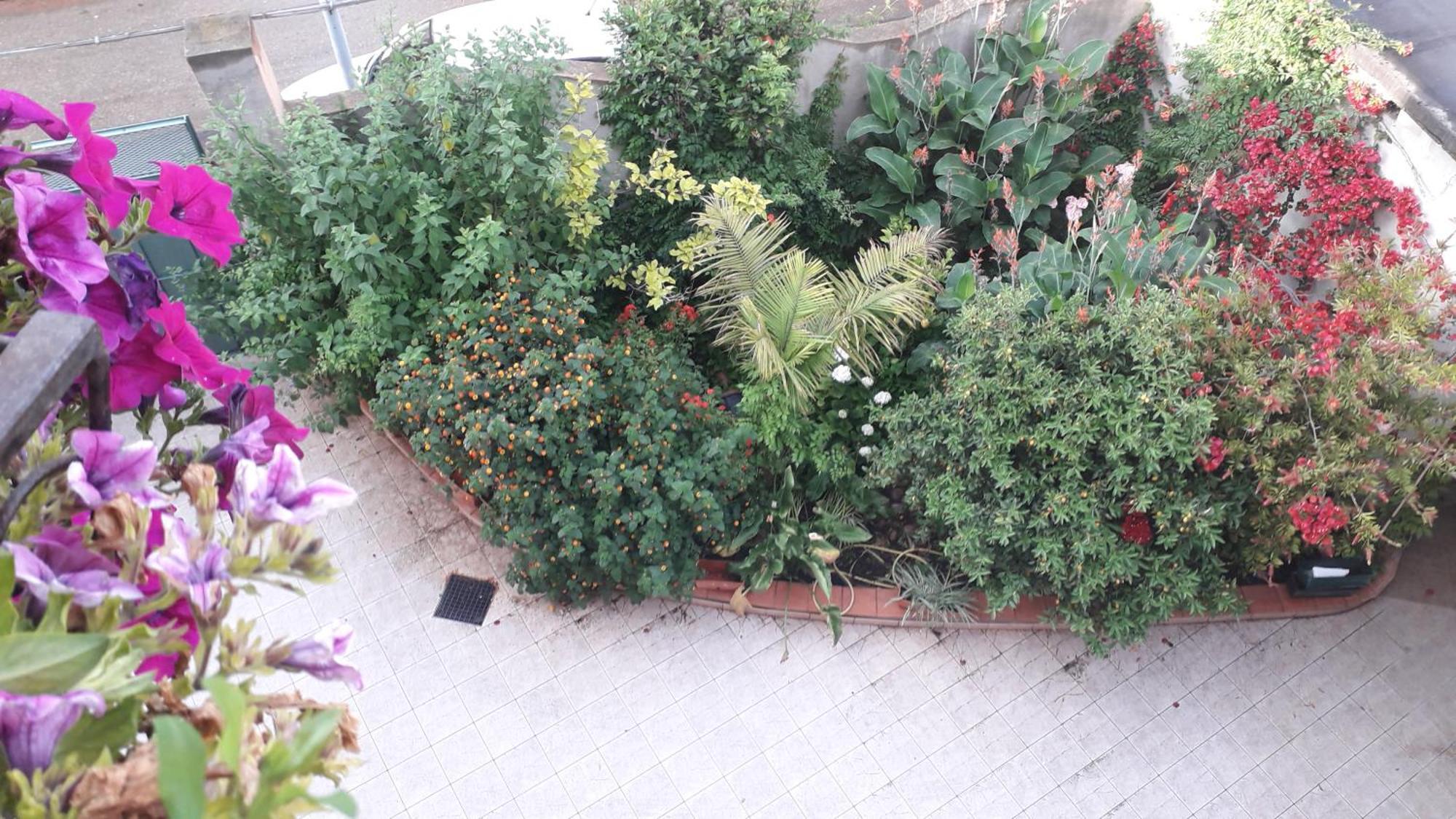 Bed And Breakfast Le Petunie Bari Sardo Εξωτερικό φωτογραφία